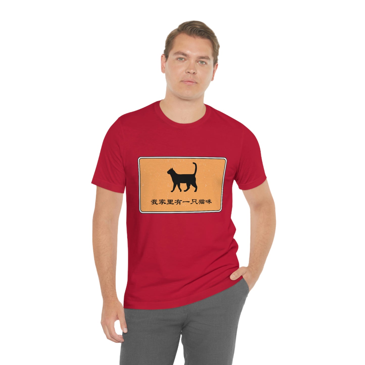 I have a cat at home - Chinese Version - Unisex Jersey Short Sleeve Tee